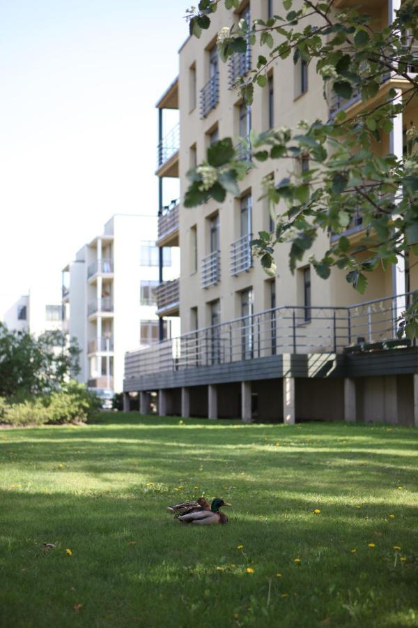 Cozy Home Apartment Kaivas, Free Parking, Self Check-In Riga Exteriör bild